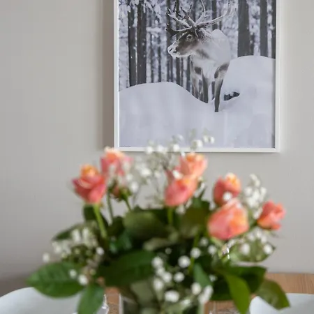 Apartamento Ihana Kaksio Saunalla Ja Isolla Parvekkeella