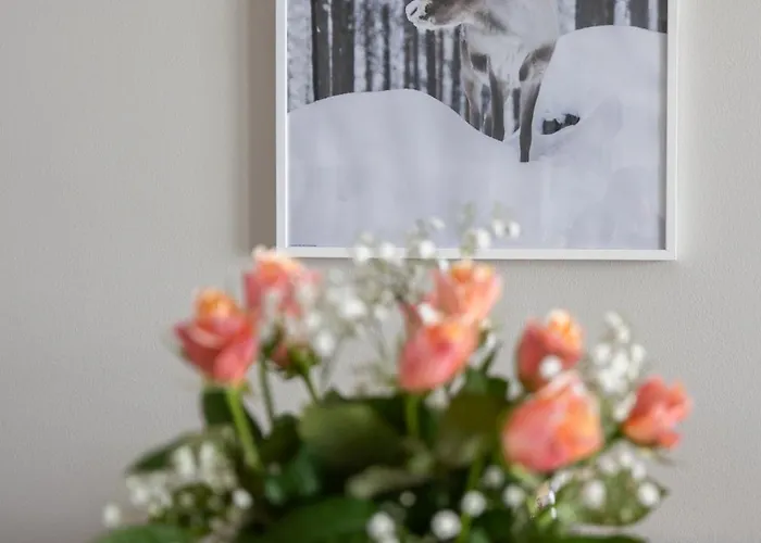 Lägenhet Ihana Kaksio Saunalla Ja Isolla Parvekkeella